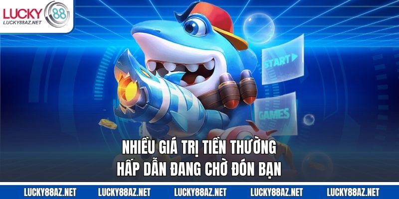 Nhiều giá trị tiền thường hấp dẫn đang chờ đón bạn